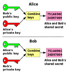 Diffie-Hellman public key
